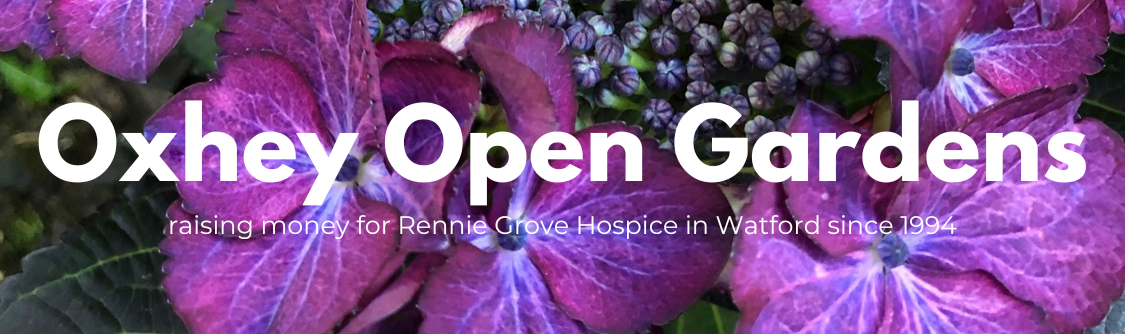 Oxhey Open Gardens 2